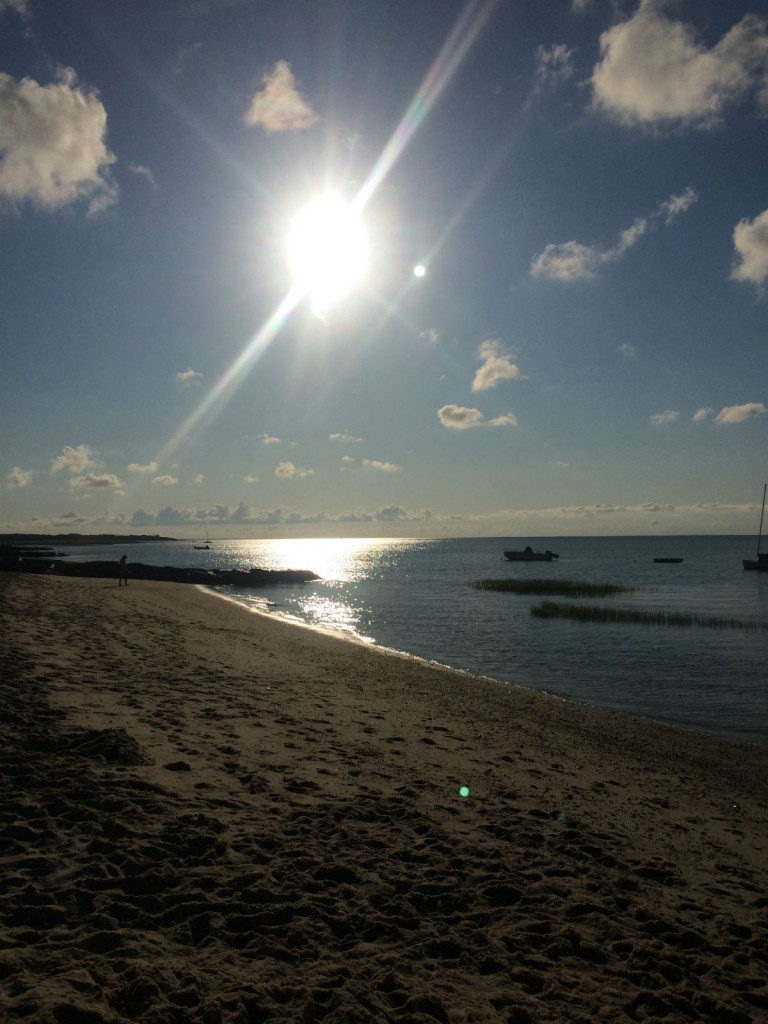 Cape Cod 17