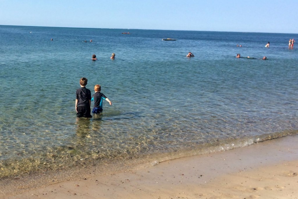 Cape Cod 2