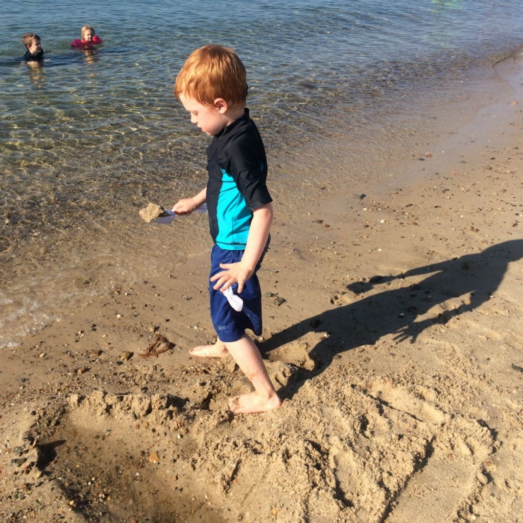 Cape Cod 4