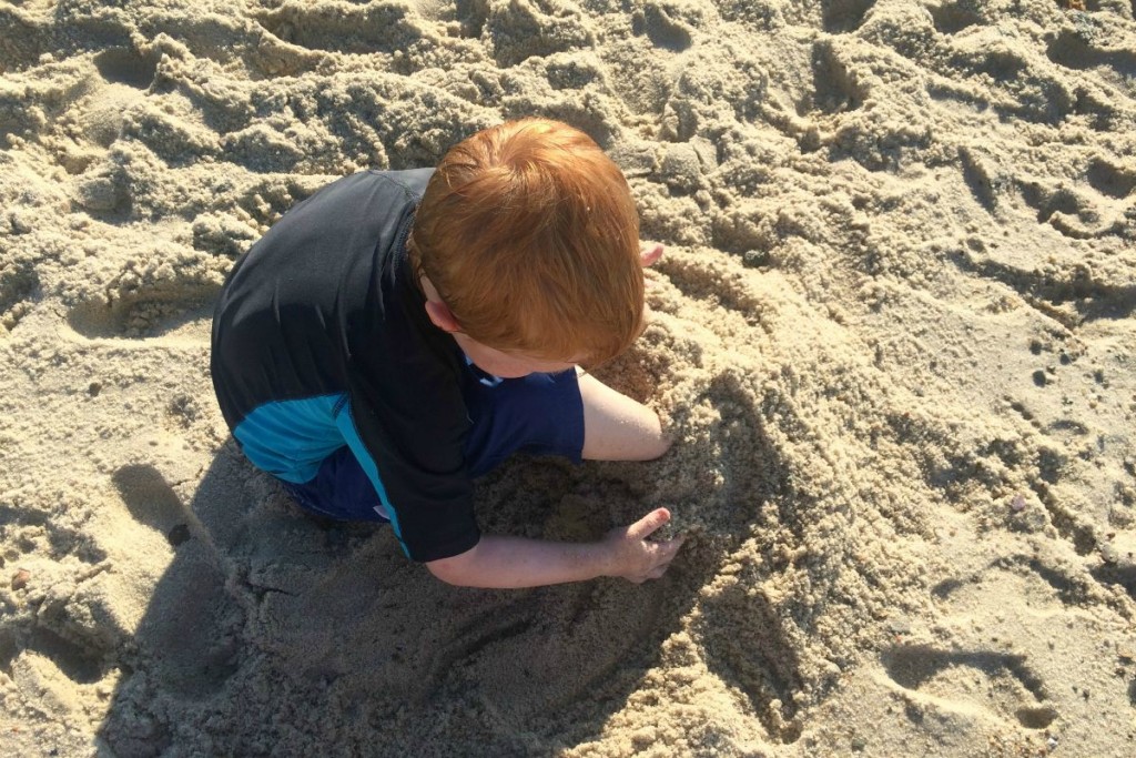 Cape Cod 5