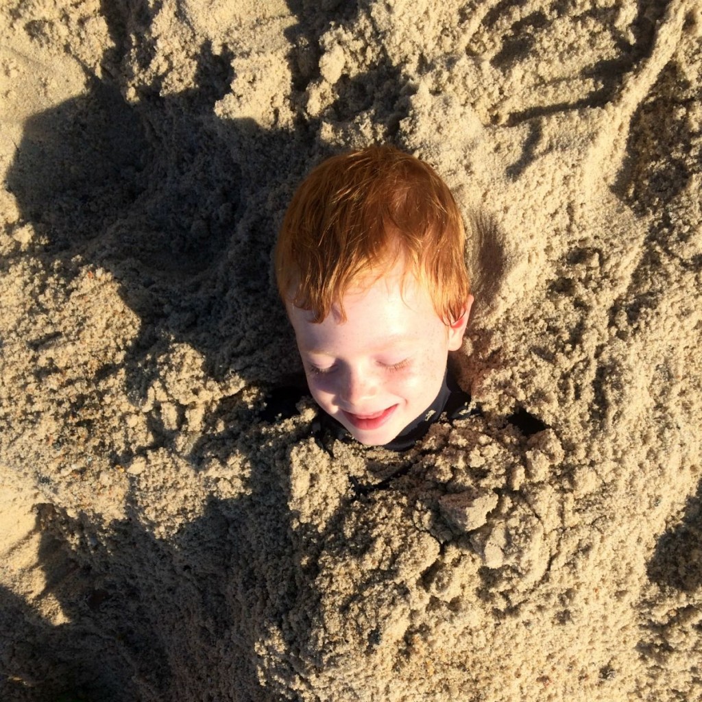 Cape Cod 9