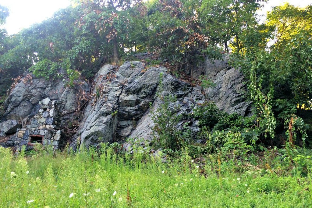 Landscape 4