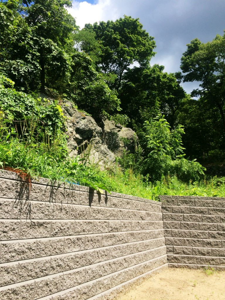 Landscape 5