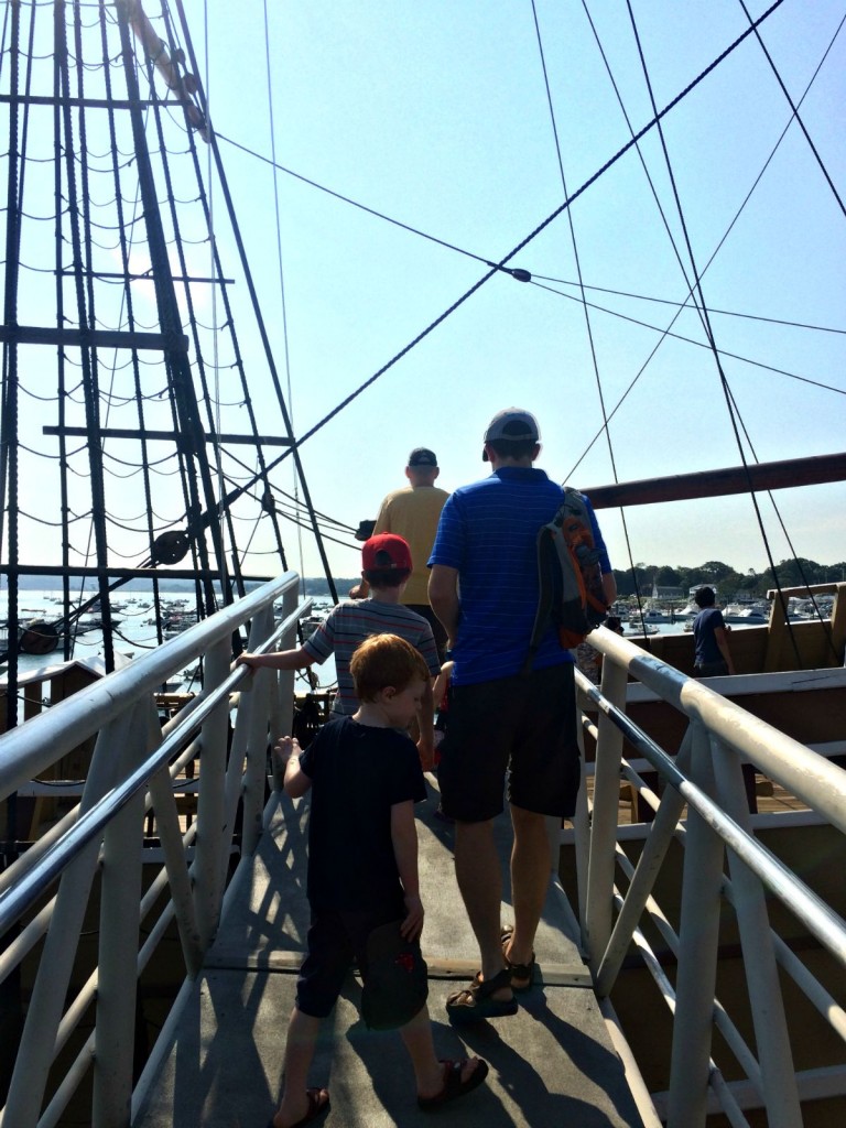 Mayflower 4