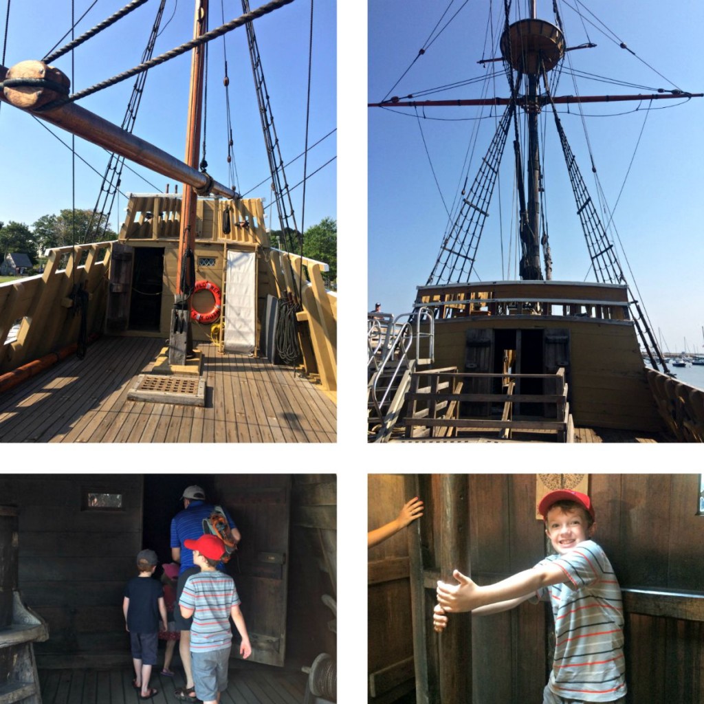Mayflower 5