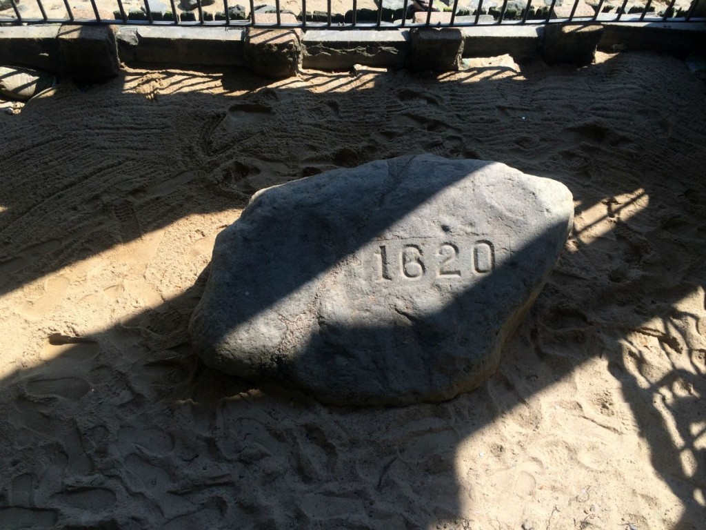 Plymouth Rock 2
