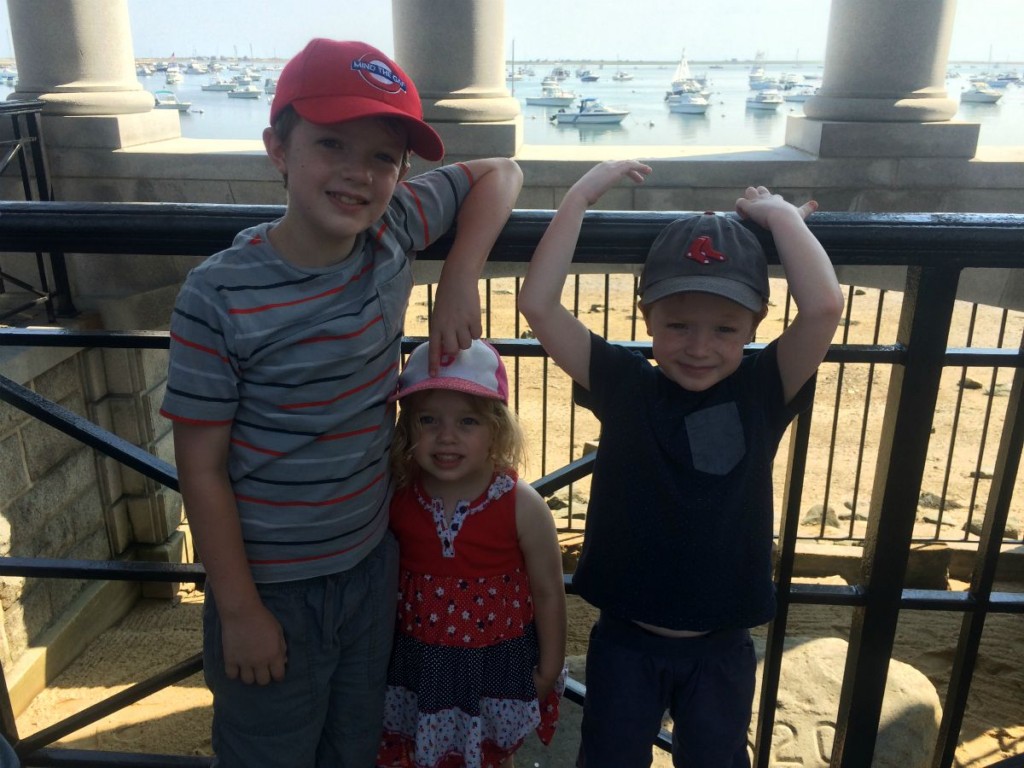 Plymouth Rock 3