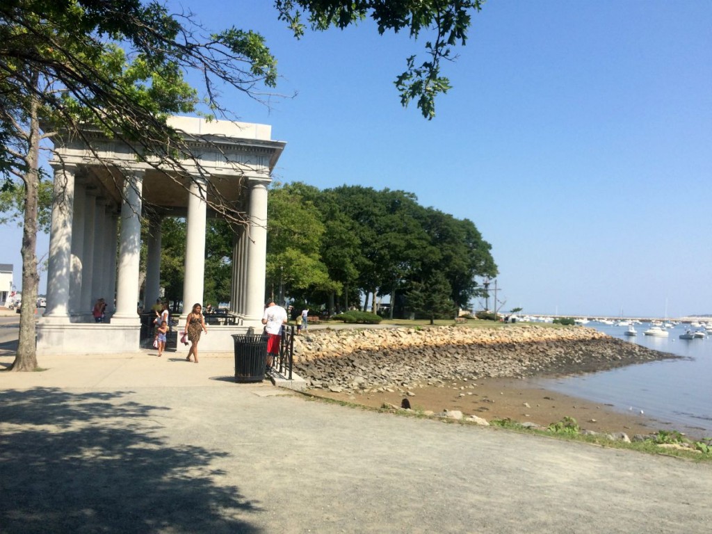 Plymouth Rock 4