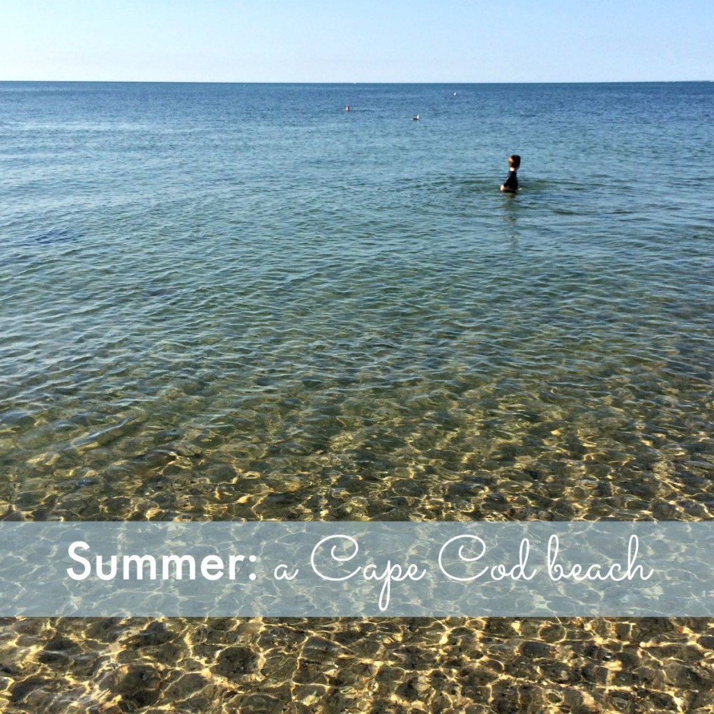 Summer: a Cape Cod beach