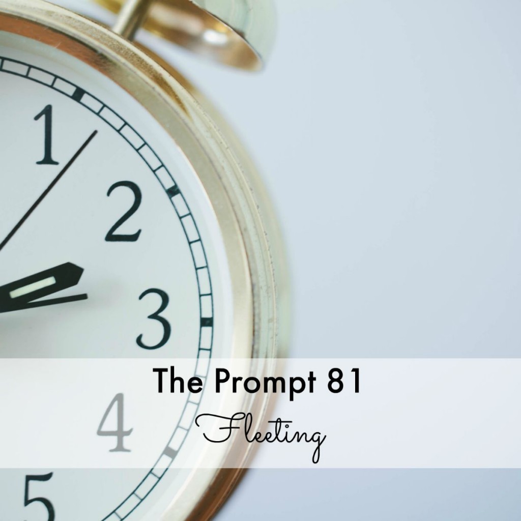 The Prompt 81: Fleeting