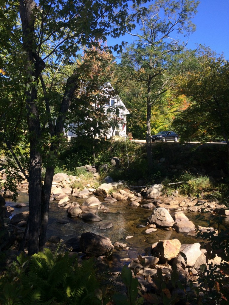 Jackson Falls 1
