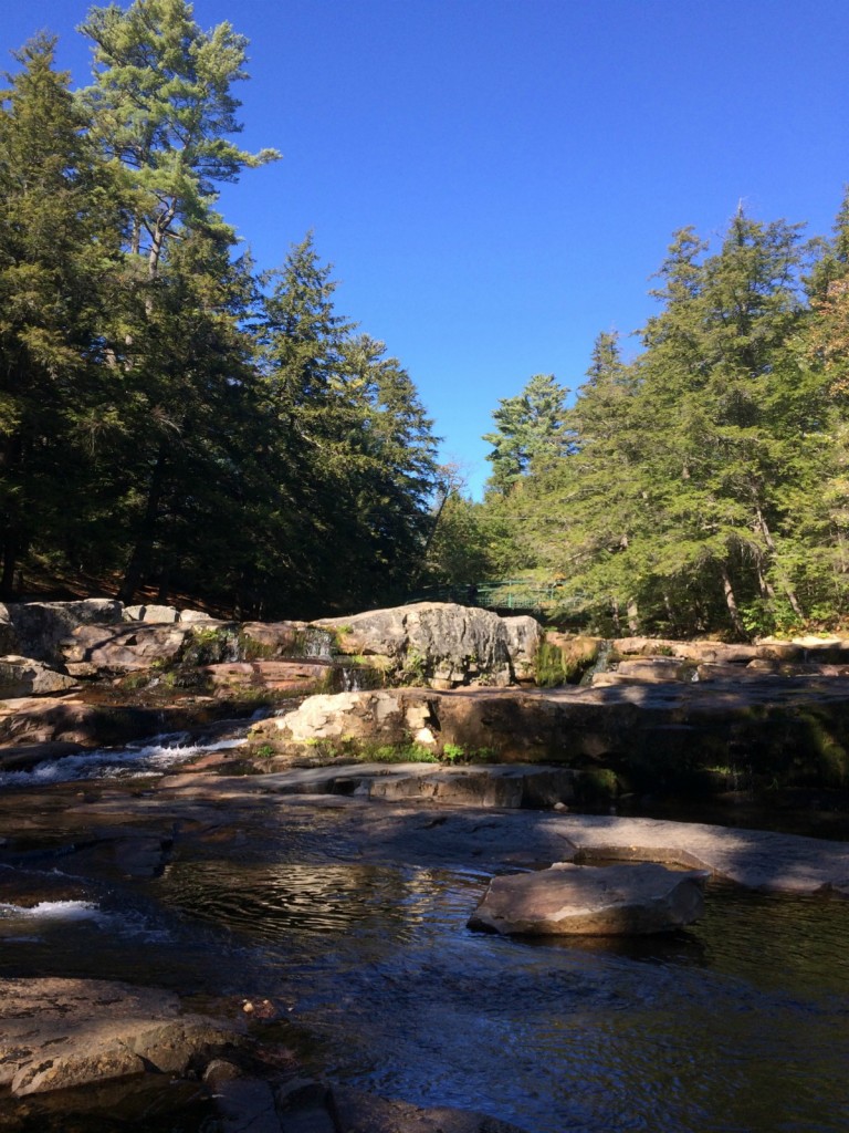 Jackson Falls 20