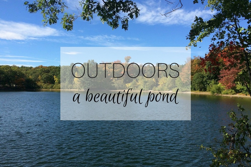 OUTDOORS A Beautiful Pond