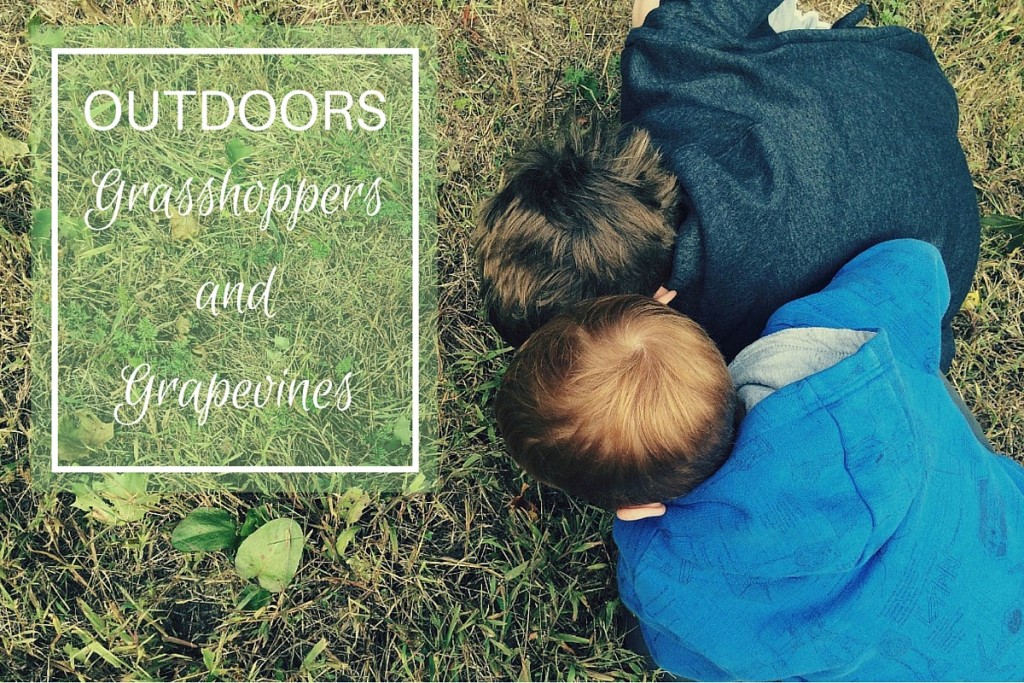 Outdoors: grasshoppers and grapevines
