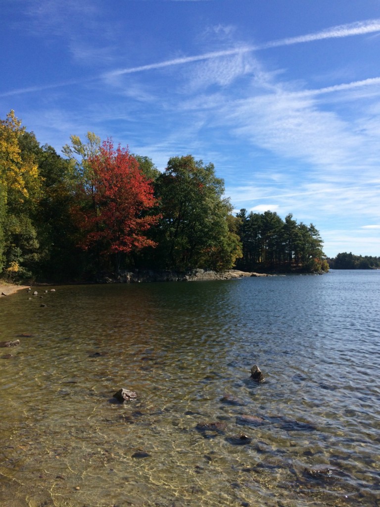 Pond 1