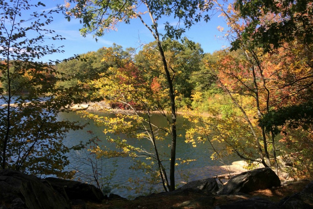Pond 13