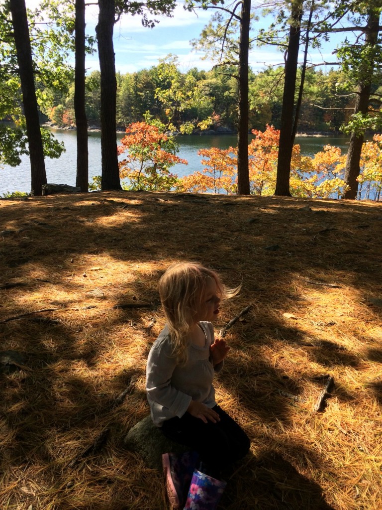 Pond 14