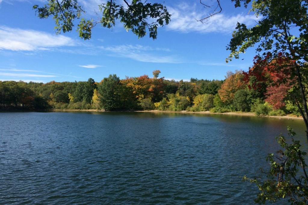 Pond 21