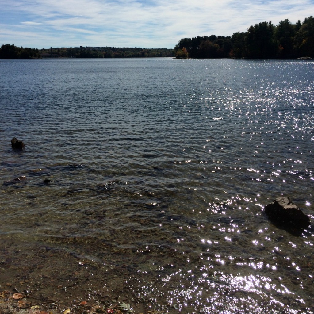 Pond 3