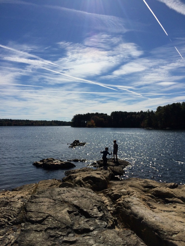 Pond 7