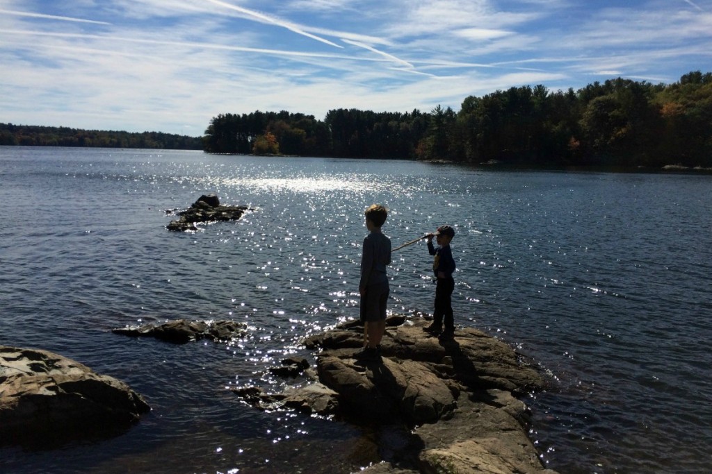 Pond 8