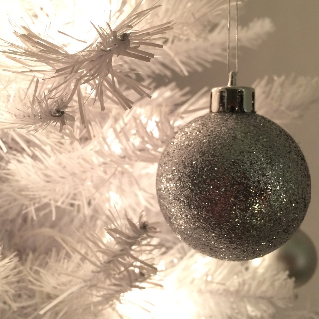 Silent Sunday: 13 December 2015