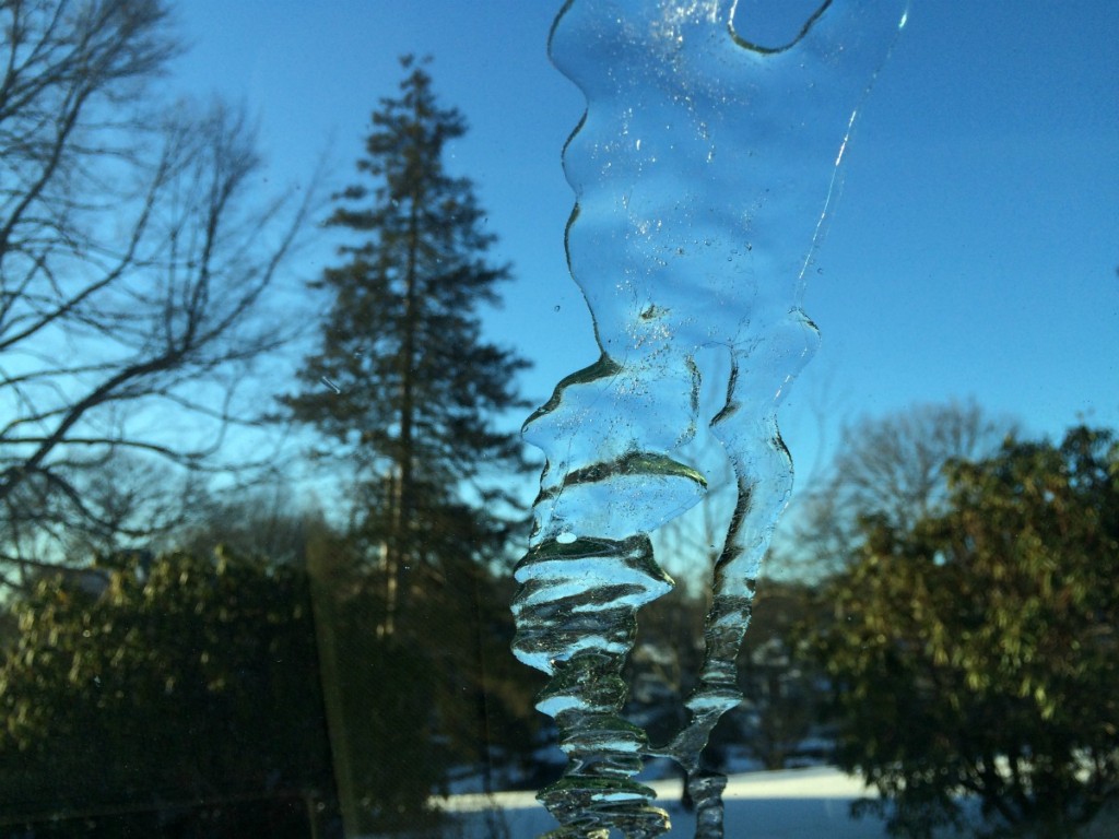 366-025-160125