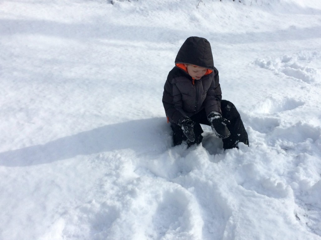 Playing in the snow 10
