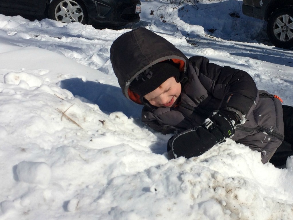 Buried in Snow 1
