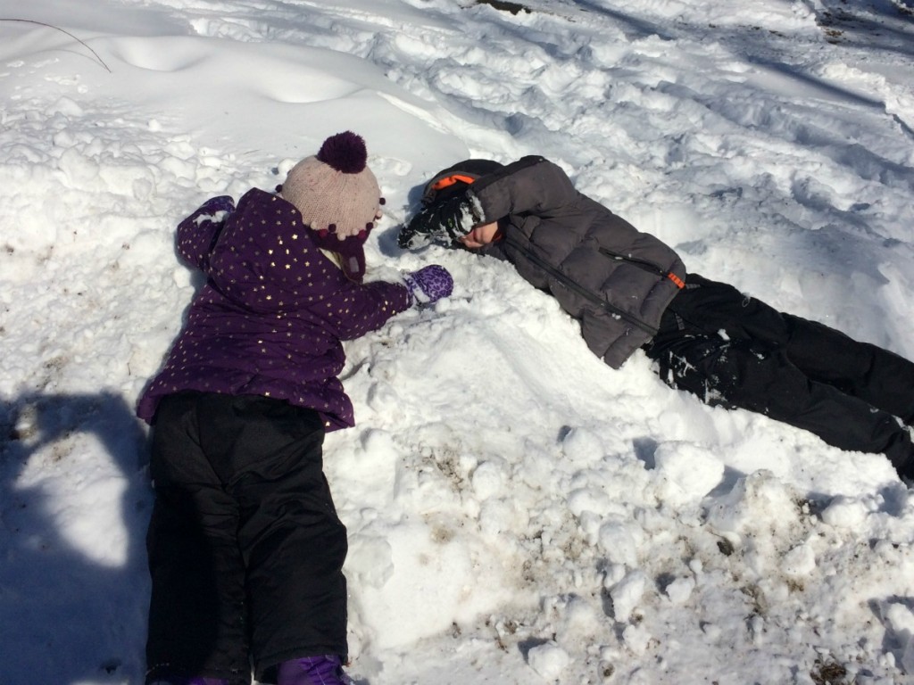 Buried in Snow 2