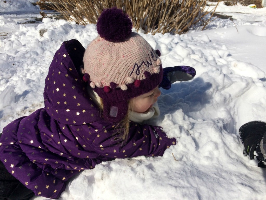 Buried in Snow 4