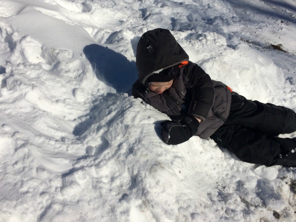 Buried in Snow 5