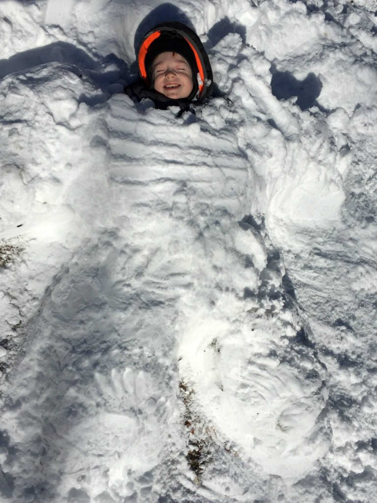 Buried in Snow 7