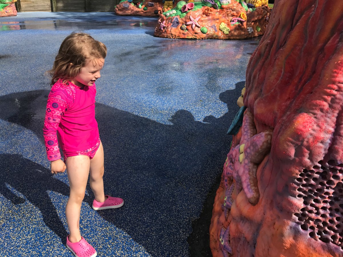 Snapshots from Storyland 5