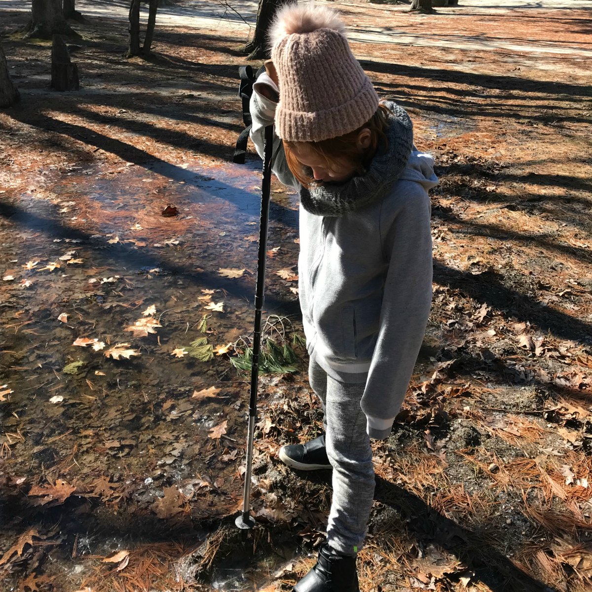 Snapshots from Breakheart Reservation 9