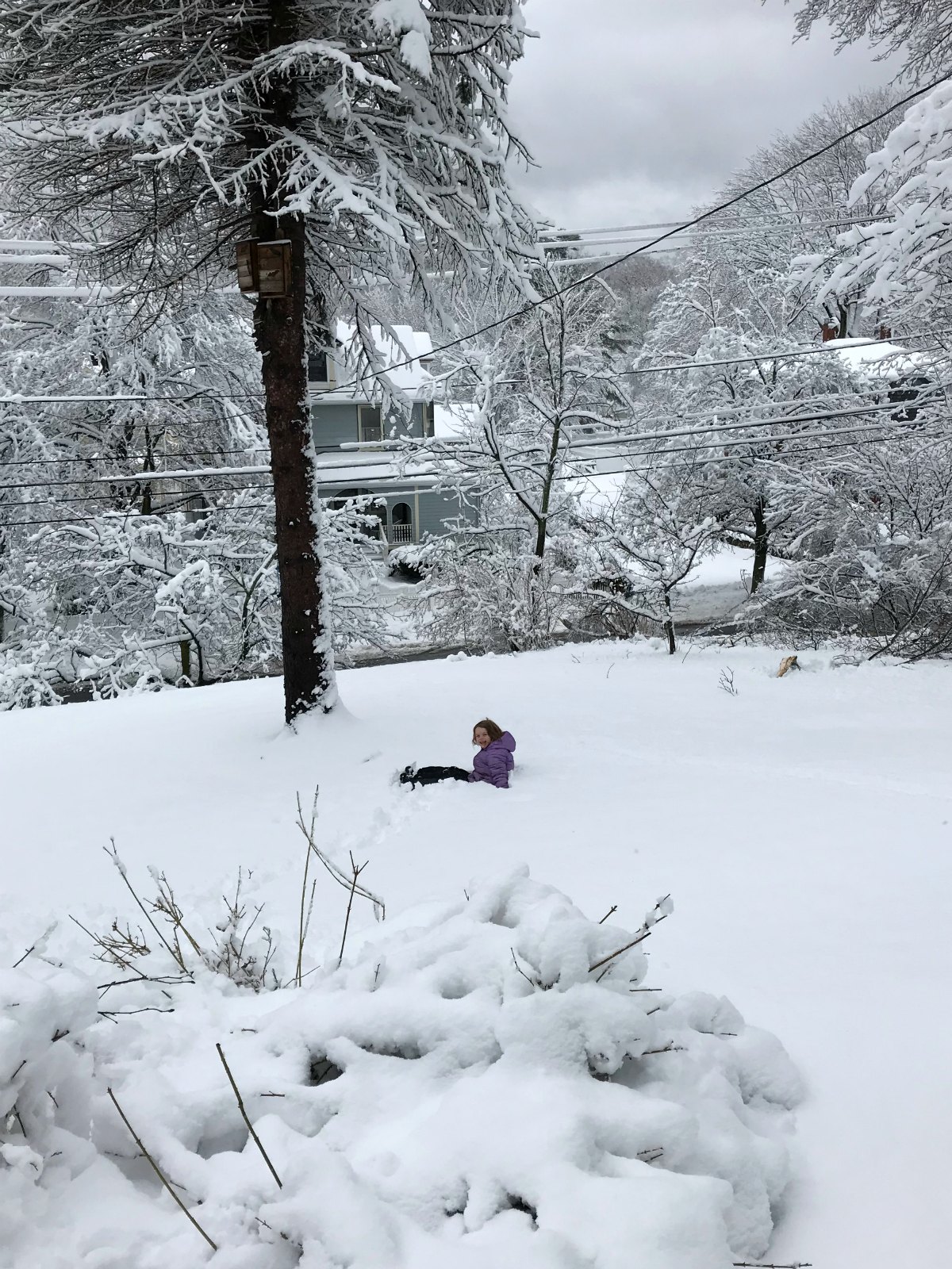 Snapshots of our winter Part 1 - 14