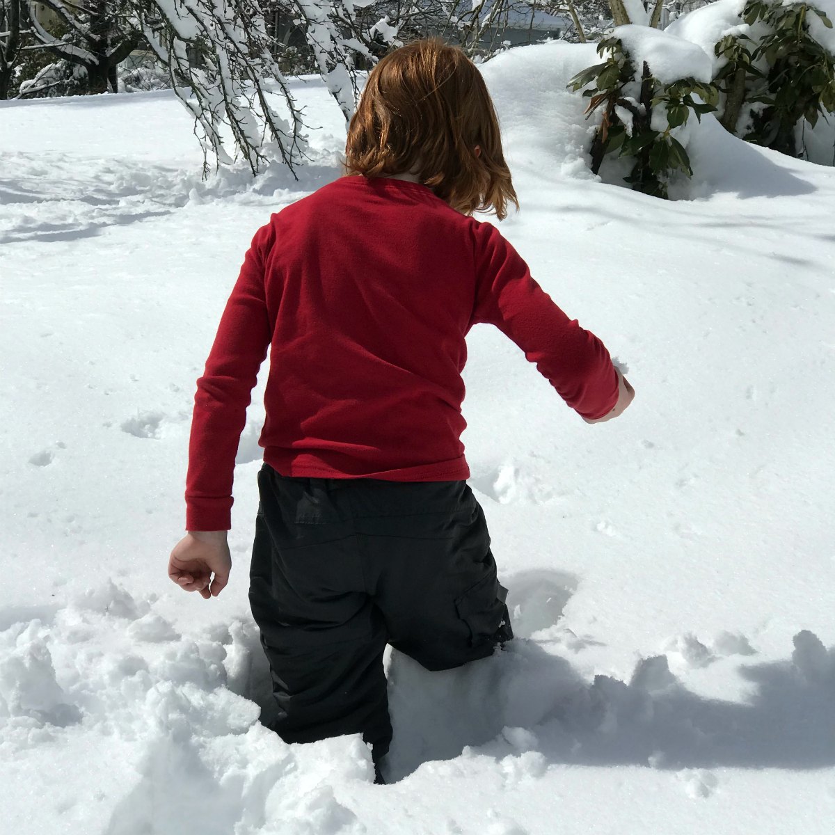 Snapshots of our winter Part 2 - 16