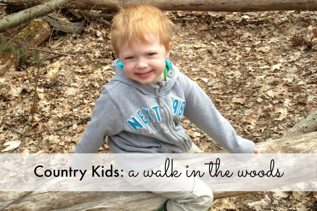 A Walk in the Woods