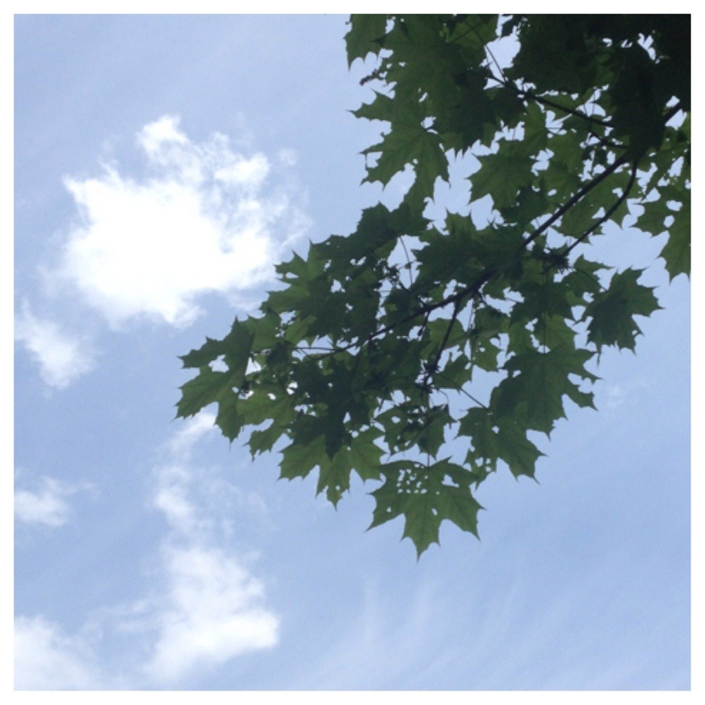 Silent Sunday 130526
