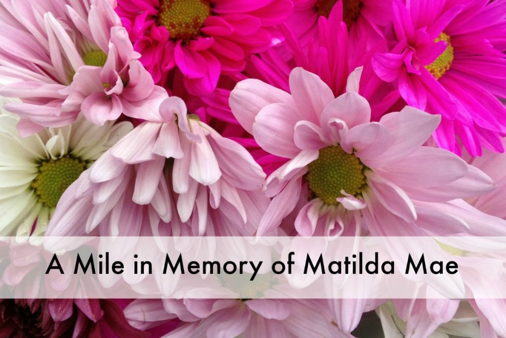 A Mile in Memory of Matilda Mae