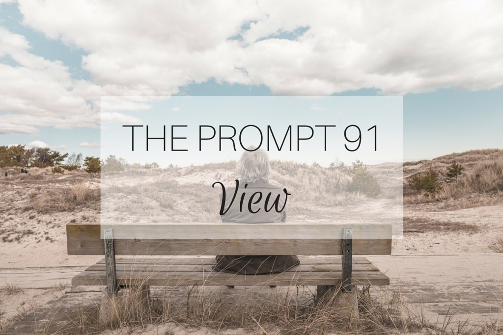 The Prompt 91: View