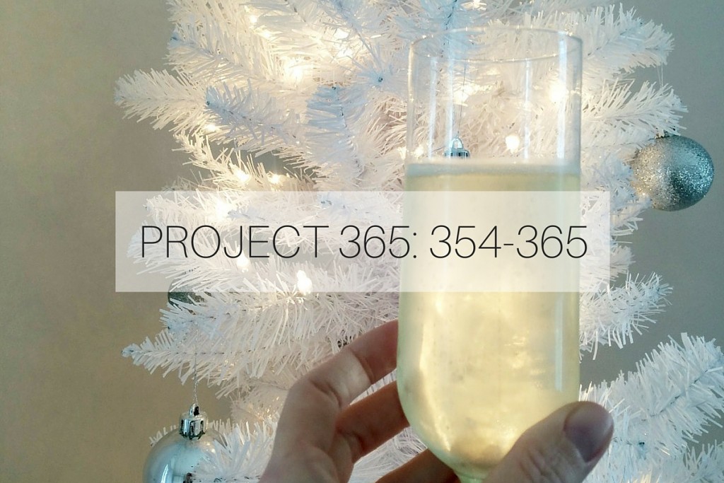Project 365: 354-365