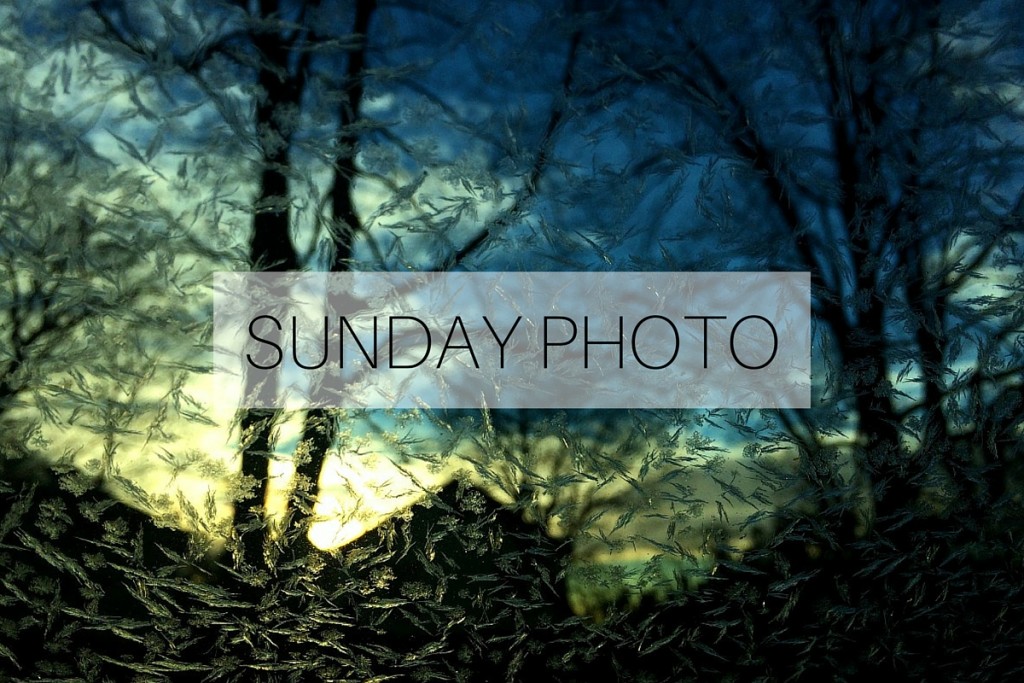 Sunday Photo: 17 January 2016