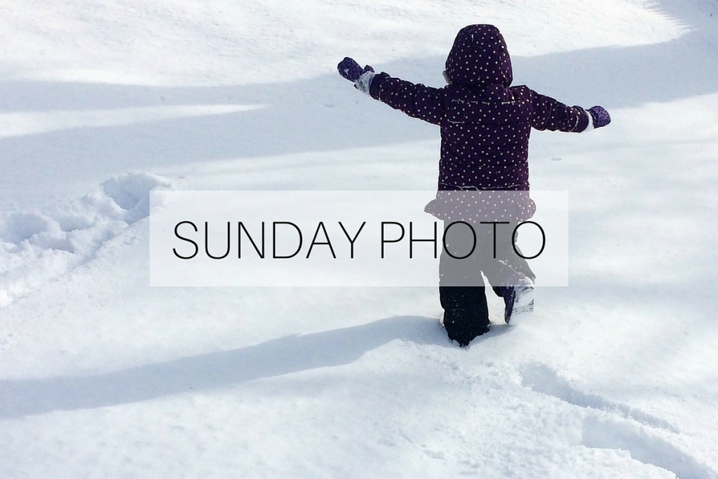 Sunday Photo: 24 January 2016