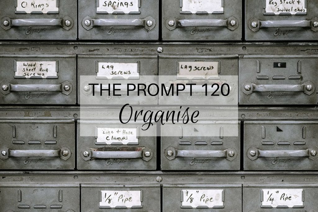 The Prompt 120: Organise