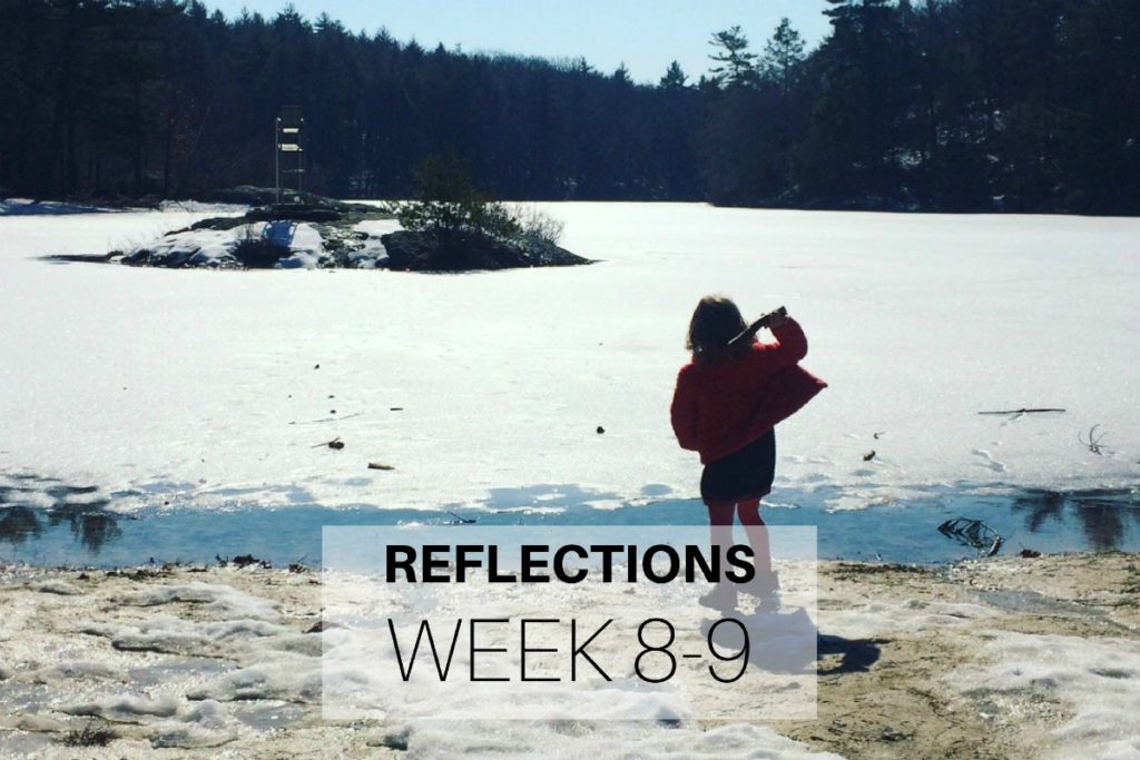 Reflections Week 8-9