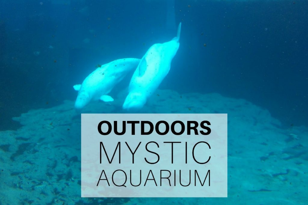 Outdoors - Mystic Aquarium