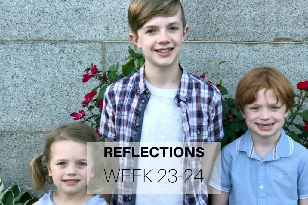Reflections Week 23-24