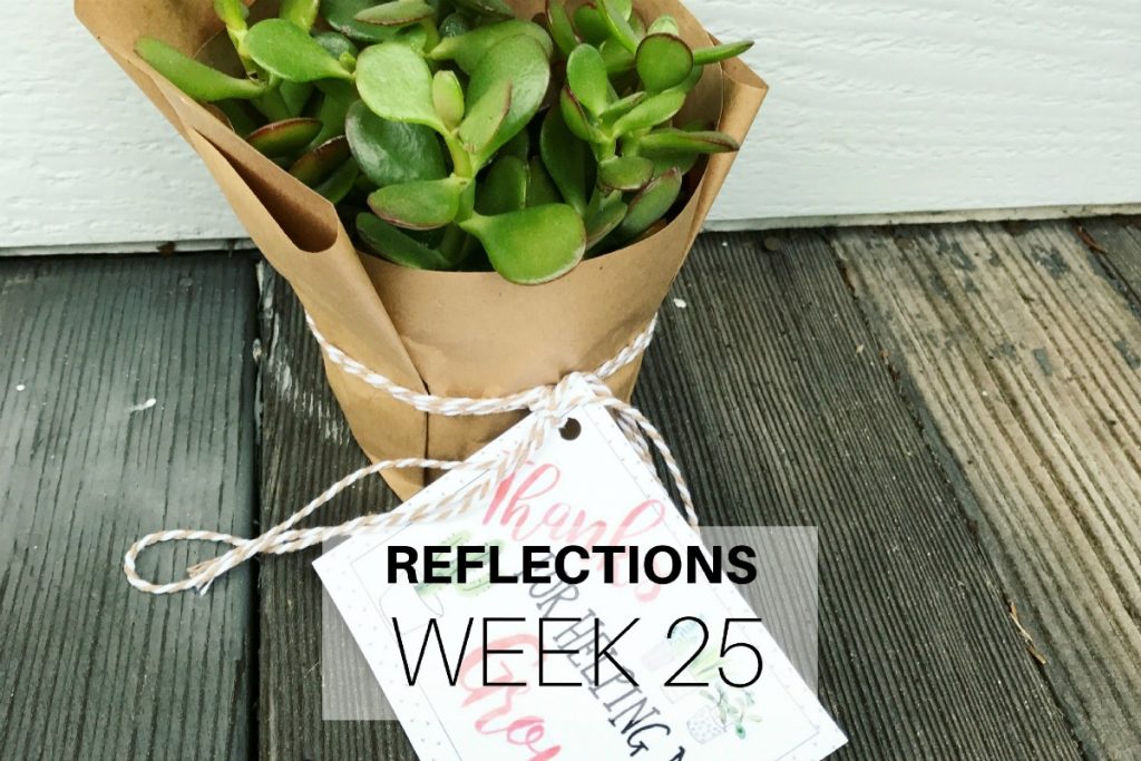 Reflections Week 25