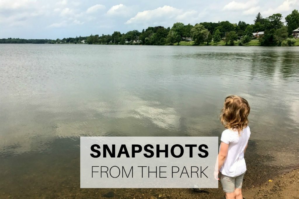 Snapshots from the park